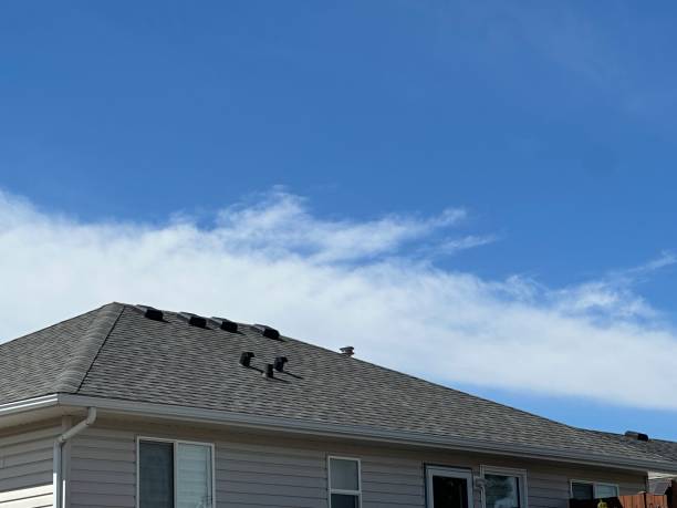Best 4 Ply Roofing  in Bellefonte, DE